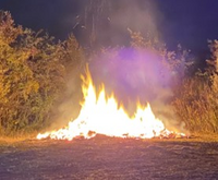 Vorschaubild: Bildbeschreibung im Artikel